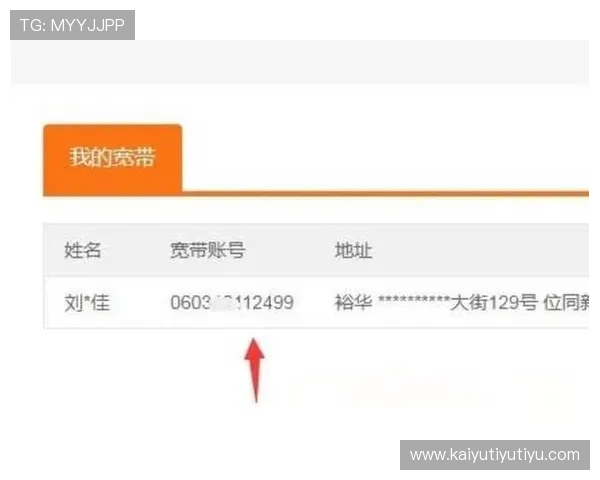 开云网页登陆密码重置流程详细步骤指导确保账号快速恢复访问 开云网页登陆密码重置流程详细步骤指导确保账号快速恢复访问